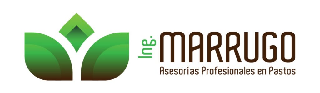 LOGO JOSÉ CARLOS MARRUGO